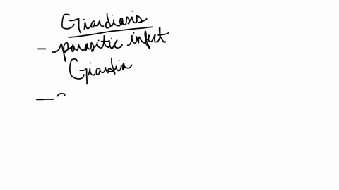 discuss-the-pathology-of-giardiasis