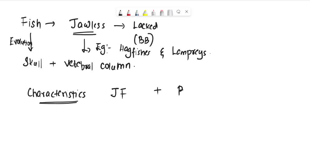 SOLVED Which characteristics do all bony and jawless fish have in