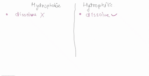 hydrophobic-molecules-differ-from-hydrophilic-molecules-in-that-hydrophobic-molecules-dissolve-in-water-b-hydrophobic-molecules-are-polar-hydrophobic-molecules-are-water-fearing-hydrophilic-97332