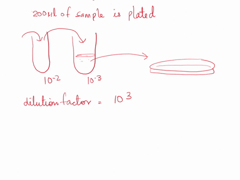 question5-if-200-ul-of-bacterial-solution-were-spread-on-this-platewhat-was-the-concentration-of-bacteria-in-the-broth-in-cfuml-40405