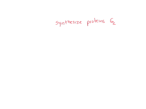 categorize-the-following-events-as-part-of-g1-g2-or-s-phase-of-interphase-g1-stage-s-stage-g2-stage-the-cell-synthesizes-proteins-that-assist-in-cell-division-during-this-stage-cells-in-this-71691
