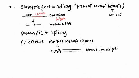 48-suppose-festriction-enzyme-recognizes-the-6-base-sequence-below-in-a-double-strand-of-dna-between-which-2-nucleotides-on-each-strand-would-the-enzyme-have-to-cut-to-produce-fragment-with-44832