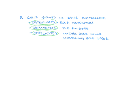 healing-fsup-thas-forms-anound-the-break-why-do-you-think-that-a-forboarlage-callus-formas-fint-and-is-blowed-by-a-bory-callus-a-forocarlage-is-faster-ts-buld-but-bone-takes-move-lime-due-to-the-schro