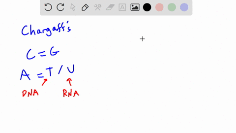 the-sequence-of-one-strand-of-dna-is5-attgcca-3-what-is-the-sequence-of-the-other-strand-a-5-taacggt-3-b-5-tggcaat-3-c-5-attgcca-3-d-5-uaagccu3-e-5-uggcaau3-39215
