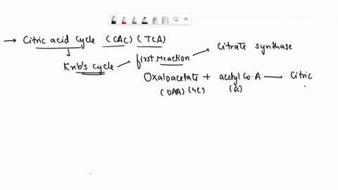 the-citric-acid-cycle-is-called-the-central-cycle-of-metabolism-extracting-energy-from-carbohydrate-amino-acid-and-lipid-molecules-describe-the-first-reaction-of-the-cac-name-the-enzyme-resp-21911