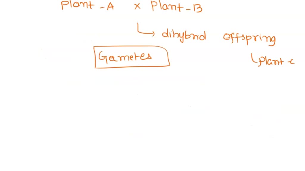 SOLVED: Genetic inheritance is being studied in a certain species of ...