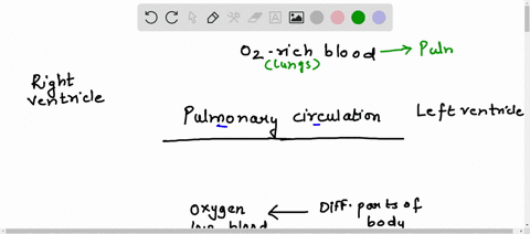 plz-plz-help-me-1-complete-the-flowchart-given-below-by-including-the-heart-chambers-and-the-blood-vessels-involved-in-double-circulation-oxigen-rich-blood-right-ventricle-left-ventricle-pul-56583