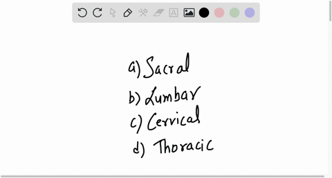 which-region-of-the-cord-contains-no-preganglionic-cell-bodies-at-all-a-sacral-b-lumbar-c-cervical-d-thoracic-09327