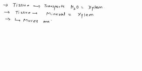 queston-05pts-beginning-with-this-group-of-plantsall-plants-that-have-evolved-after-contain-vascular-tissue-allwring-them-grow-larger-the-two-typos-ofvascular-tissue-jre-xxkem-and-phlocm-for-14168