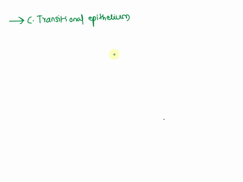 question-101-point-which-of-the-following-epithelial-tissues-is-found-lining-the-urinary-bladder-ostratified-squamous-opseudostratified-ciliated-columnar-transitionalepithelium-simple-column-48273
