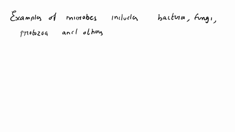what-is-an-example-of-a-microorganism-acting-in-a-harmful-way-79654