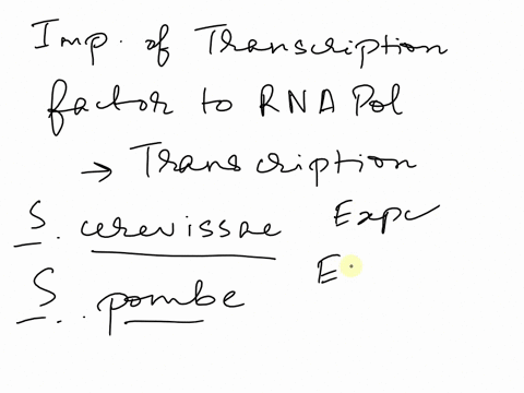 pls-if-you-can-get-this-right-i-will-thumbs-up-it-pls-explain-how-to-do-it-aswell-thx-labe-and-the-effects-of-the-switch-on-the-evel-of-rna-synthesis-and-on-the-start-point-of-transcription-61055