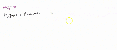 how-does-an-enzyme-function-why-are-enzymes-essential-for-living-organisms-on-earth-2-51425