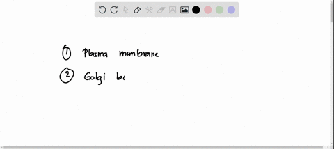 which-organelle-is-found-in-all-cells-a-plasma-membrane-b-cell-wall-c-nucleus-d-mitochondria