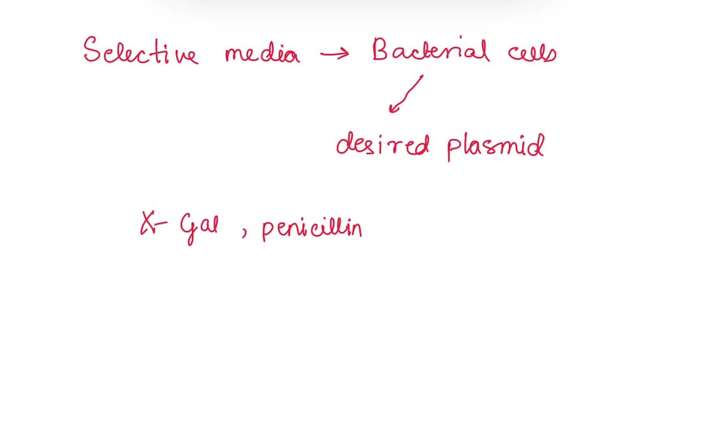SOLVED QUESTION 4 A uses a cloning plasmid that contains