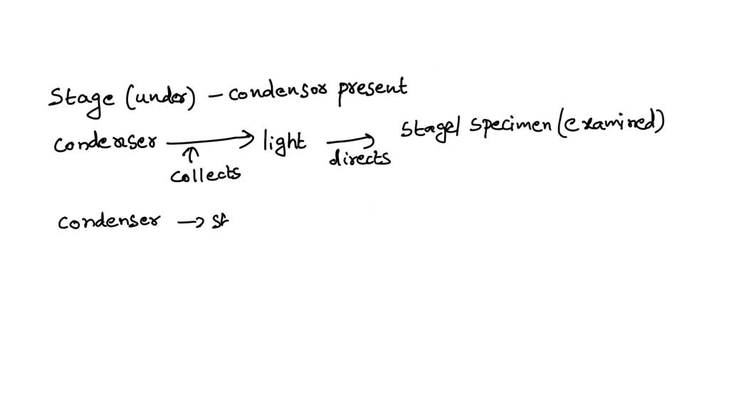 What Two Adjustments Can Be Made To The Condenser