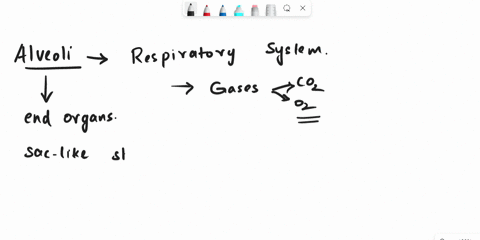 list-three-features-of-alveoli-which-enables-them-to-perform-their-function-37755