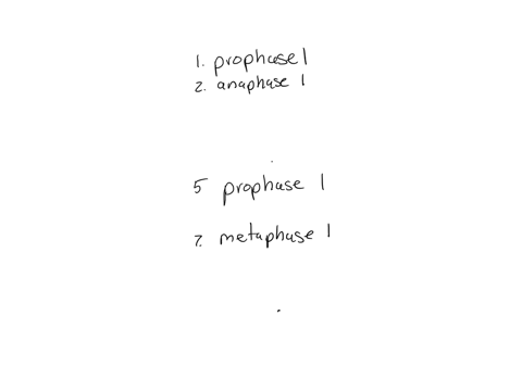phases-of-meiosis-name-of-phase-description-1-homologous-chromosomes-pair-up-and-form-tetrad-2-spindle-fibers-move-homologous-chromosomes-to-opposite-sides-3-nuclear-membrane-reforms-cytopla-63232
