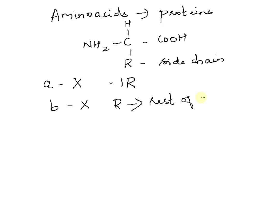SOLVED Amino acids can be distinguished from one another by a. the