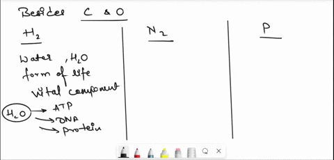 besides-carbon-and-oxygen-name-three-elements-that-are-essential-to-life-and-state-why-each-is-essential-68006