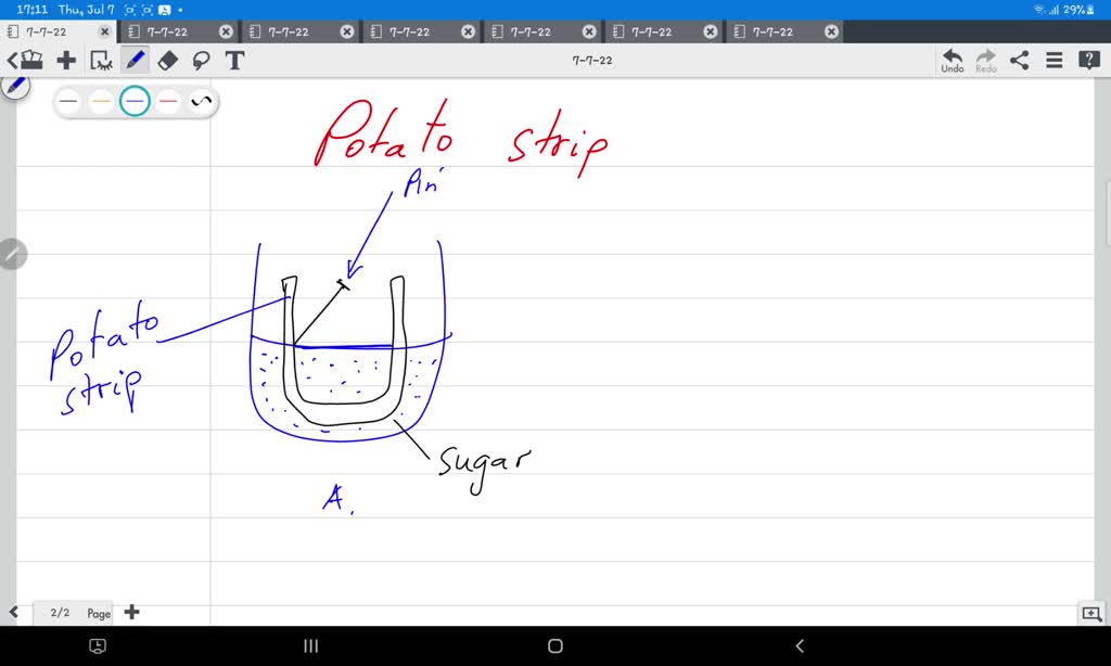 precautions in potato osmosis experiment