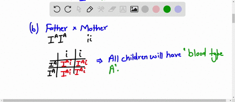 check-your-understanding-an-expectant-mother-has-type-b-blood-and-her-genotype-is-ii-the-father-has-type-a-blood_-and-his-51-genotype-is-4-what-are-the-potential-genotypes-and-phenotypes-of-94103