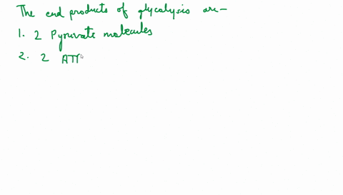 which-of-the-following-represents-the-net-products-of-glycolysis-from-one-molecule-of-glucose-2-pyruvate-2-nadh-2-atp-2-pyruvate-2-nadh-4-atp-3-pyruvate-2-nadh-4-atp-6-co2-30-atp-6-co2-32-at-41878