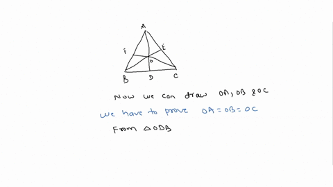 prove-that-the-perpendicular-bisectors-of-the-sides-of-any-triangle-must-intersect-in-euclidean-geometry-are-concurrent-and-that-the-point-of-concurrency-is-equidistant-from-the-vertices-of-71731