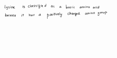 question-13-which-of-the-following-amino-acids-is-classified-a5-a-basic-amino-acid-aspartate-leucine-asparagine-phenylalanine-lysine-46782