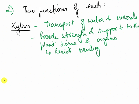 life-sciences-grade-10-formal-task-3-5-24-may-2023-assignment-13-study-the-diagrams-below-and-answer-the-questions-that-follow-131-identify-the-cells-labelled-1-and-2-respectively-132-state-two-func-2