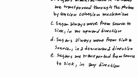 which-statement-is-true-about-transportation-in-plants-a-water-is-transported-by-the-xylem-in-upward-and-downward-directions-b-sugars-manufactured-in-the-leaves-are-transported-through-the-phloem-by-t