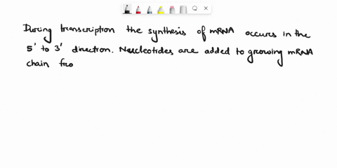 both-dna-and-rna-are-long-chains-of-nucleotides-nucleotides-are-made-up-of-a-phosphate-group-a-nitrogen-base-and-a-five-carbon-sugar-the-carbons-in-the-sugar-deoxyribose-in-dna-and-ribose-in-47802
