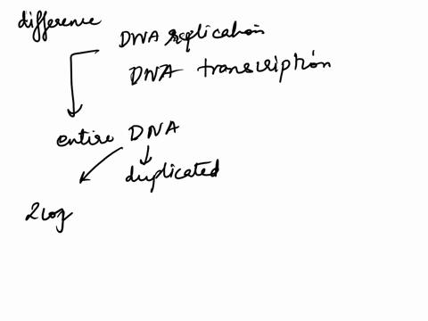 what-is-a-major-difference-between-dna-replication-and-dna-transcription-15117