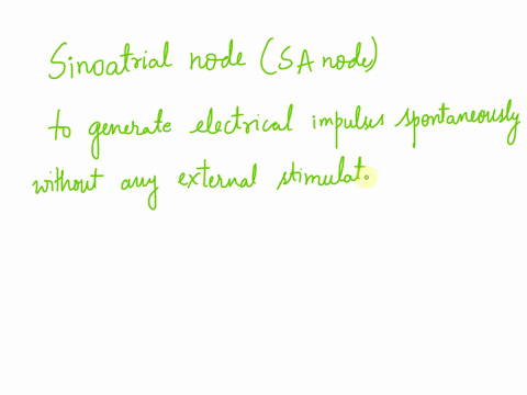 describe-the-hearts-natural-pacemaker-and-internal-electrical-conduction-system-with-sa-node-57483