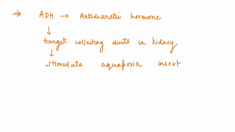 question-30-1-point-a-human-kidney-filters-about-200-liters-of-blood-each-day-approximately-two-liters-of-liquid-and-nutrient-waste-are-excreted-as-urine-the-remaining-fluid-and-dissolved-su-68732