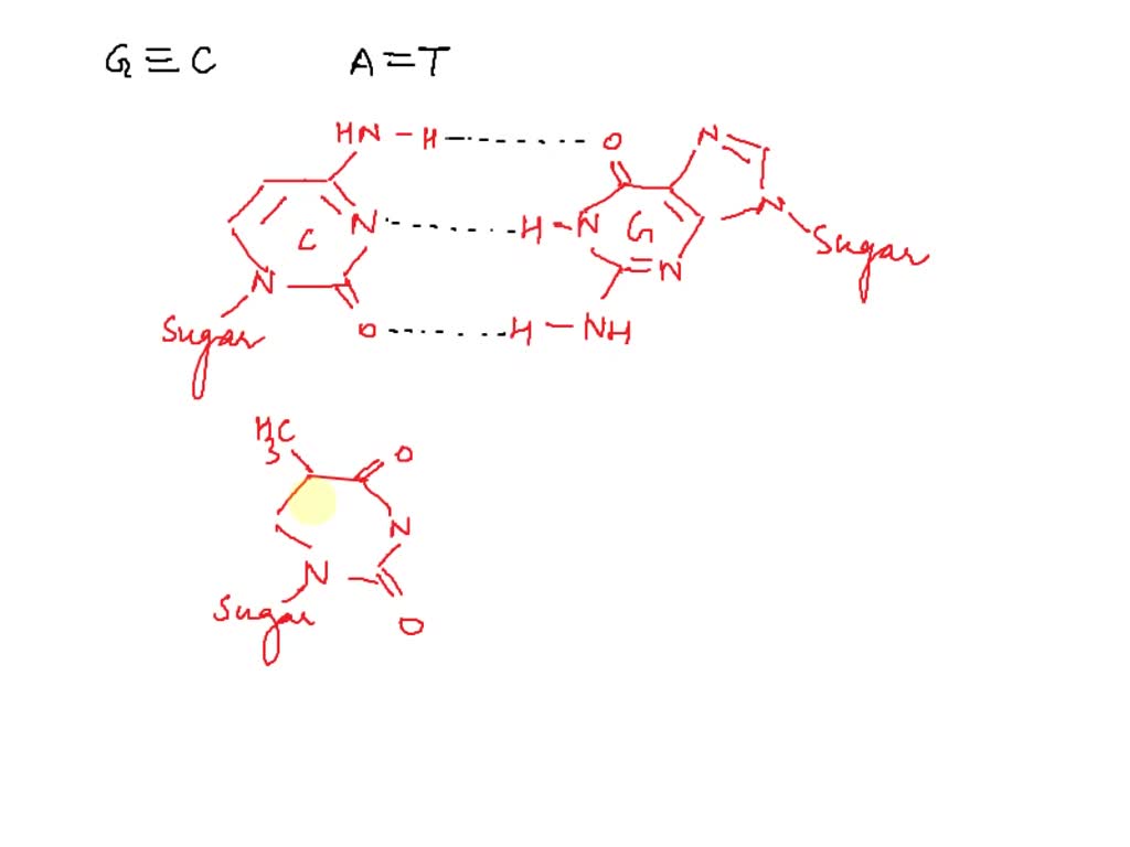 solved-label-hydrogen-bond-acceptors-with-the-letter-and-5-hydrogen