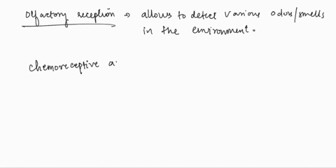 homeworkeaunanswereu-fill-in-the-blanks-type-your-answers-in-all-of-the-blanks-and-submit-chemoreceptive-exterorecept-neurons-that-project-a-ors-type-your-answer-here-into-the-receptors-for-21748