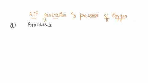 1-a-from-the-choices-below-identify-processes-important-for-generating-atp-in-the-presence-of-oxygen-there-may-be-more-than-one-correct-answer-select-all-that-apply-group-of-answer-choices-g-13363