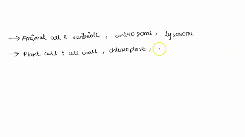 chapter-6-is-an-overview-of-cells-both-prokaryotic-and-eukaryotic-and-what-structures-and-organelles-can-be-found-in-cells-choose-any-structure-or-organelle-from-a-eukaryotic-cell-plant-or-a-77753