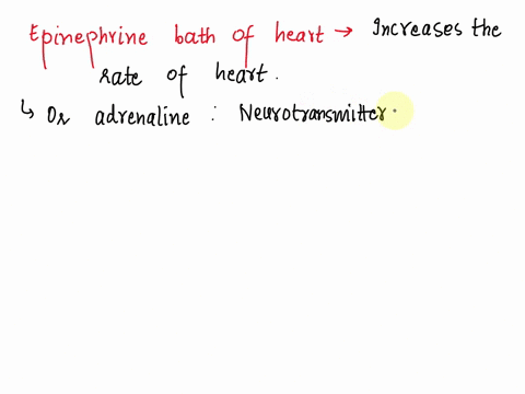 an-epinephrine-bath-of-the-heart-would-definitely-decrease-the-rate-of-the-heart-true-or-false-87187