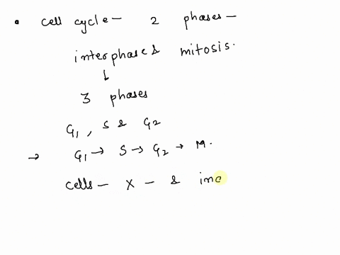 which-ofthe-following-correctly-depicts-the-order-of-the-phases-that-comprise-the-cell-cycle-and-mitosis-ulot-select-one-prophase-prometaphase-metaphase-telophase-anaphase-cytokinesis-62sgi-51517