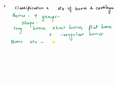 8-review-sheet-excercise-overview-of-the-skeleton-classification-and-structure-of-bones-and-cartilages-56377