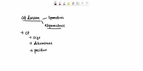 why-is-cleavage-plane-an-important-feature-of-asymmetric-cell-division-97679