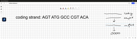 Given the following DNA coding strand AGT ATG GCC CGT...