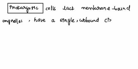 what-cell-type-has-no-membrane-bound-organelles-has-a-single-unbound-chromosome-and-is-very-smal-44812