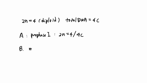 prophase-i-rightarrow-anaphase-i-rightarrow-metaphase-ii-rightarrow-anaphase-ii-2n44c-a-b-c-if-a-diploid-cell-has-2-n4-and-total-dna-content-is-4-c-during-prophase-i-then-choose-the-correct-option-for