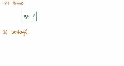 which-functional-group-does-the-molecule-below-contain-a-amino-b-carbonyl-c-ether-d-hydroxyl-04823