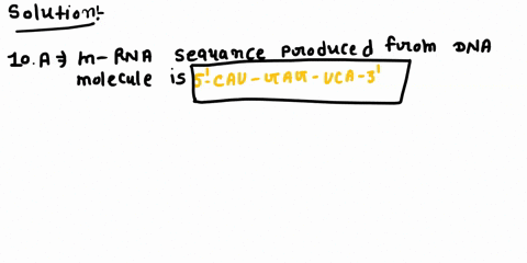 genetic-code-table-second-letter-uuu-phe-ucu-uuc-ucc-uua-leu-uca-uug-ucc-cuu-ccu-cuc-leu-ccc-cua-cca-cug-ccg-auu-acu-auc-acc-aua-aca-aug-met-acg-uau-ty-ucu-cys-set-uac-ucc-ea-stop-uga-stop-s-88192