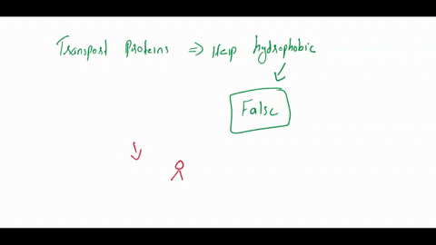 question-13-transport-proteins-help-hydrophobic-substances-pass-through-the-membrane-true-false-95516