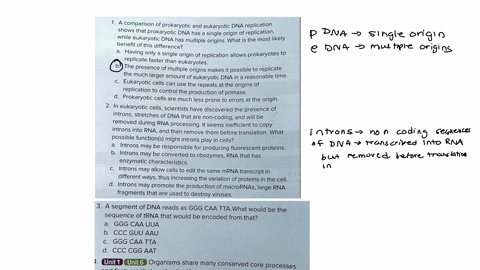 comparison-of-prokaryotic-and-eukaryotic-dna-replication-shows-that-prokaryotic-dna-has-a-single-origin-of-replication-while-eukaryotic-dna-has-multiple-origins-what-is-the-most-likely-benef-32807